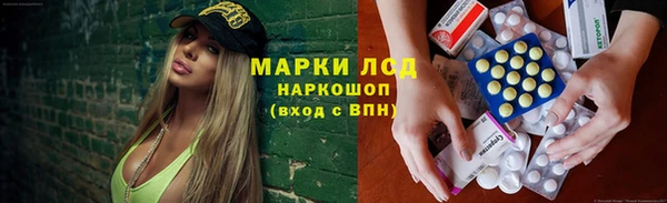гидра Каменногорск