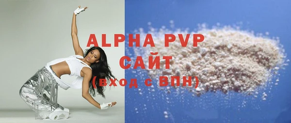гидра Каменногорск