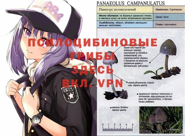 мдма Сясьстрой