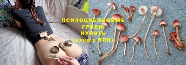 гидра Каменногорск