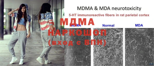 гидра Каменногорск