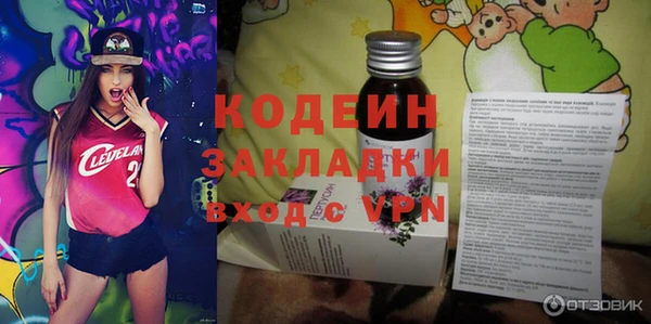 гидра Каменногорск