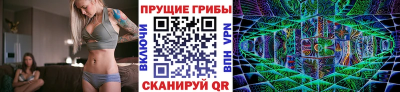 darknet состав  как найти   Устюжна  Галлюциногенные грибы прущие грибы 